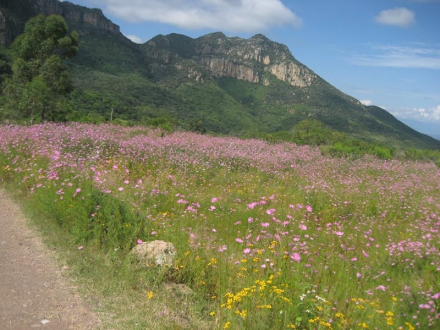  Itinéraires pour cyclistes